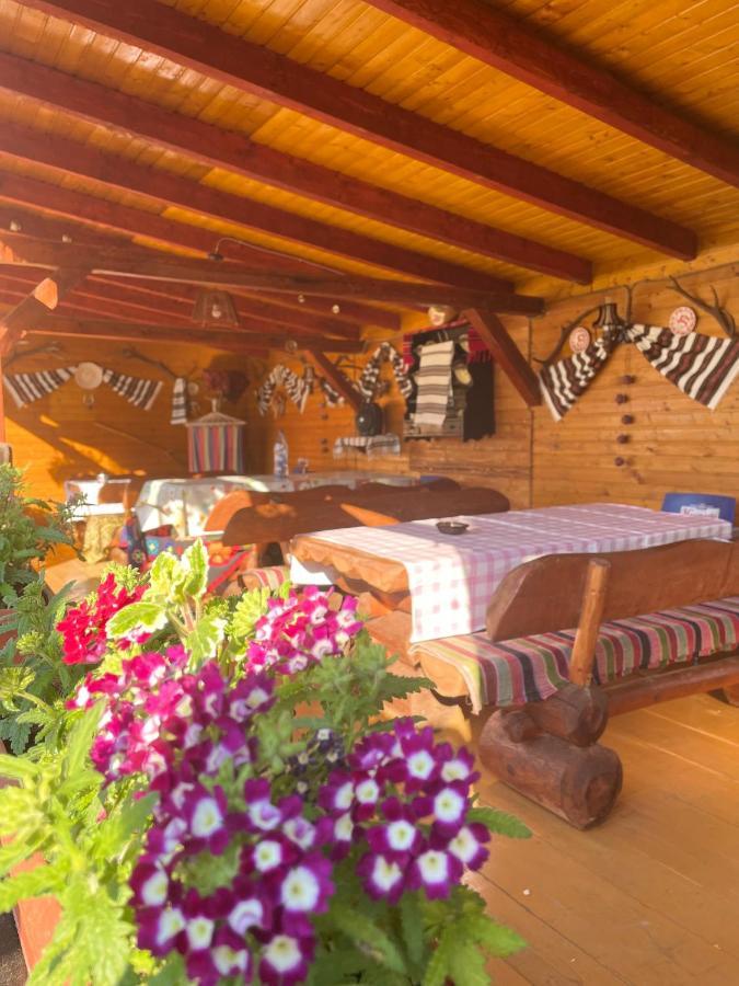 Casa Carmen Hotel Dorna Arini Bagian luar foto